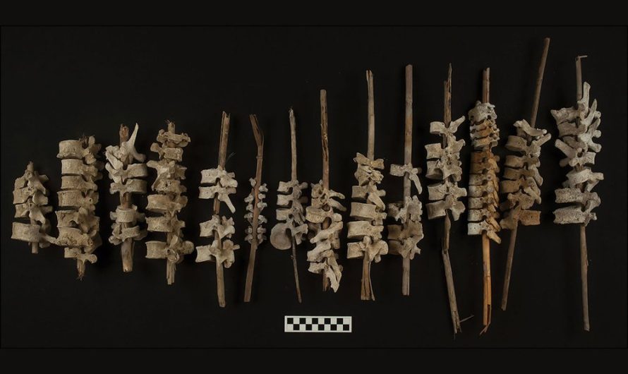 Why Did 16th-Century Andean Villagers String Together the Bones of Their Ancestors?